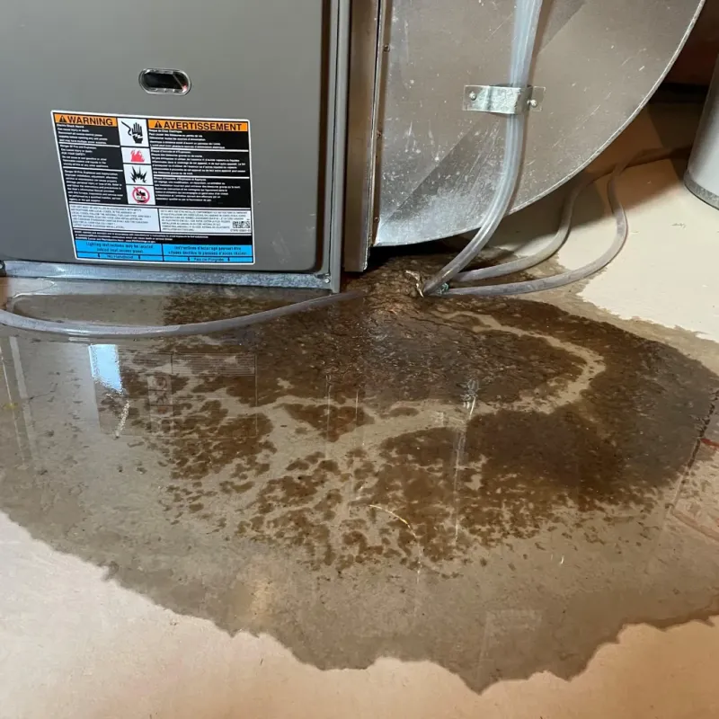 Appliance Leak Cleanup in Washington County, IA